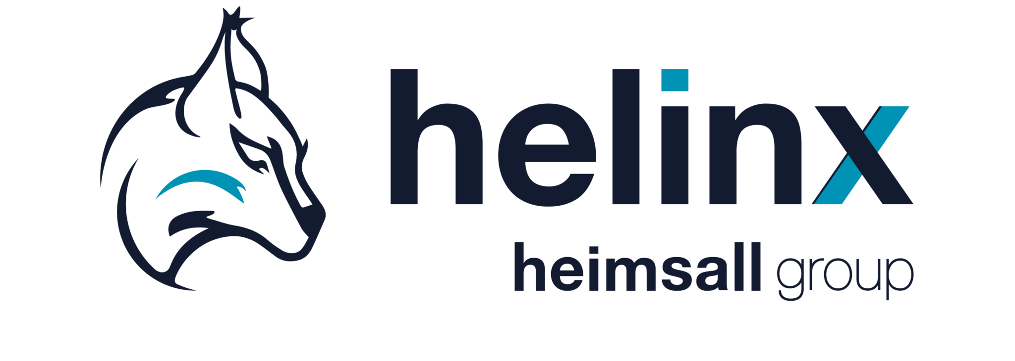 WEB_helinx_Heimsall-Group-2048x730